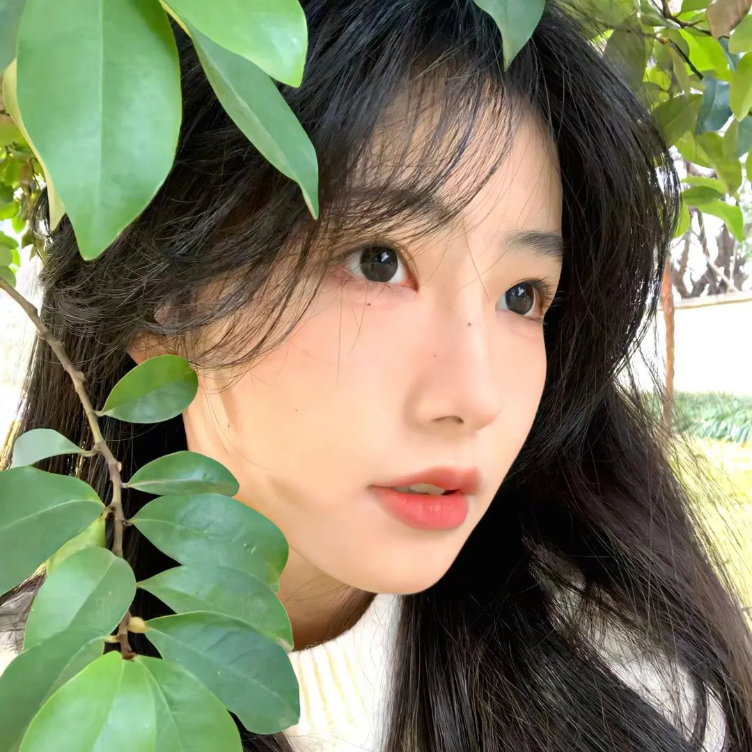 国王口信